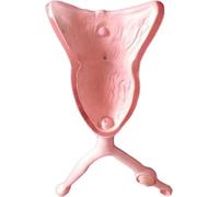 Dog Canine Uterus Ovary Urinary Bladder Model - Veterinary Anatomy Teaching Tool for Medical Education
