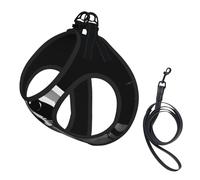 Dog Cartoon Cute Raccoon Printed Harness And Leash Set,Adjustable,Breathable Soft,Step-In Mesh Pet Vest Harness With Reflective Strip