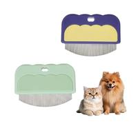 Dog Cat Hair Removal Massaging Combs, 2pcs Stainless Steel Cats Flea Dandruff & Stain Remover Comb with ABS Handle for Small Dogs Cats Daily Grooming