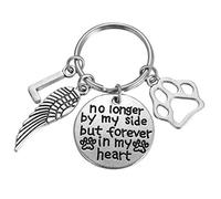 Dog Cat Memorial Keychain Initial Paw Prints Sympathy Keyring for Pet Loss Remembrance Gift for a Grieving Pet Owner, 1, Metal Plastic, not known
