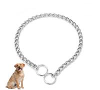 Dog Chain Collar, 55cm Choke Chain for Dog Training, Anti-Chew Silver Metal Collar, Durable Thick Link No Pull Martingale Collars for Small Medium Large Breed Dogs Pet Outdoor