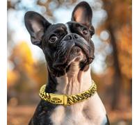 Dog Chain Collars 19mm Thick Gold Metal Dog Collar Stainless Steel Chain with Buckle Strong Heavy Duty Necklace Collar Pet for Small Medium, Large Dogs
