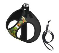 Dog Chameleon Listen Music Printed Harness And Leash Set,Adjustable,Breathable Soft,Step-In Mesh Pet Vest Harness With Reflective Strip
