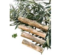Dog Chew Toy, teether, Stick - Olive Wood - Petquality