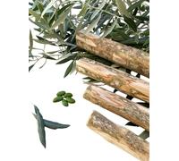 Dog Chew Toy, teether, Stick - Olive Wood - Petquality (Large)