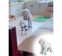 Dog Chew Toy, Washable Teddy Texture for Canine Stimulation, Great for Bichon Frise and Other Breeds, Engaging Tactile Experience for Pups and Dogs