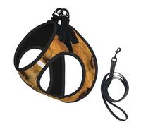 Dog Chocolate Cookie Printed Harness And Leash Set,Adjustable,Breathable Soft,Step-In Mesh Pet Vest Harness With Reflective Strip