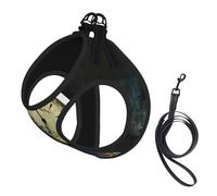 Dog Clock Butterfly Printed Harness And Leash Set,Adjustable,Breathable Soft,Step-In Mesh Pet Vest Harness With Reflective Strip