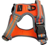 Dog & Co Sports Harness, Padded and Reflective, Orange Large