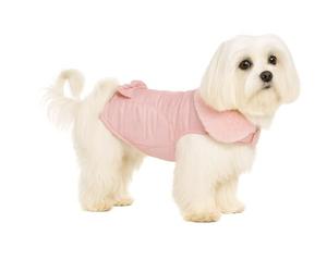 Dog Coat - Guzzi Pink - A:25cm B:30-34cm C:39-43cm - Polyester - Water-Repellent - Soft Fleece Lining - Flamingo