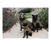 Kentucky Winter Pina Dog Jacket Green 32-38 cm