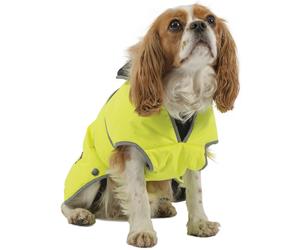 Dog Coat Waterproof Ancol Stormguard Harness Compatible Luxury Rain Muddy Paws