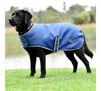 Dog coat Weatherbeeta ComFiTec Windbreaker Free