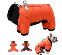 Dog Coats Waterproof (Orange, M) - Dog Raincoats, Keeps Your Pet Dry and Comfortable, Ideal for Small Dogs, Dachshunds, and Puppies