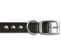 Ancol Black Studded Leather Dog Collar for Dogs and Puppies Bridle Leather Pet Training Collar with Chrome Studs - Size 50-59cm Size 7