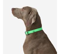 Dog Collar 500 Neon Green