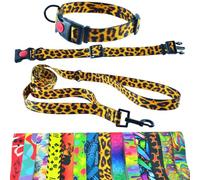Dog Collar and Lead 180 cm for Medium and Large Dogs - Durable Polyester, Robust with D-Ring and Double Handle (Neck Circumference 36-42 cm, Panther)