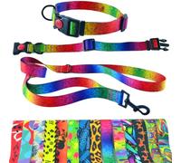 Dog Collar and Lead 180 cm for Medium and Large Dogs - Durable Polyester, Robust with D-Ring and Double Handle (Neck Circumference 46-64 cm, Rainbow)