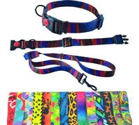 Dog Collar and Lead 180 cm for Medium and Large Dogs - Durable Polyester, Robust with D-Ring and Double Handle (Neck Circumference 46-64 cm, Swirling Colours)