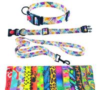 Dog Collar and Lead 180 cm for Medium and Large Dogs - Durable Polyester, Robust with D-Ring and Double Handle (Neck Circumference 42-55 cm, Floral Fantasy)