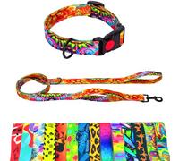 Dog Collar and Lead 180 cm for Medium and Large Dogs - Durable Polyester, Robust with D-Ring and Double Handle (Neck Circumference 36-42 cm, Hindu)