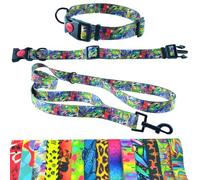 Dog Collar and Lead 180 cm for Medium and Large Dogs - Durable Polyester, Robust with D-Ring and Double Handle (Neck Circumference 42-55 cm, Colourful Leaves)