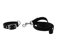 Dog collar and leash Riding World Oscar