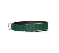Dog collar Back on Track Charlie