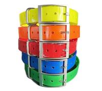 Dog Collar Compatible with Garmin T20, TT25, T5, TT10, TT15, DC50 2.5cm/1inch Nylon Waterproof Replacement Strap for Training, GPS Collars Receivers Emitter Antenna belt Leash (5x Mix Coloured)