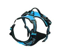 Dog Collar & Harness Set | Leather Puppy Accessories with Vest and Leash for Small Medium Dogs, Complete Pet Shop Kit(Blue,M)