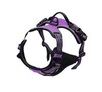 Dog Collar & Harness Set | Leather Puppy Accessories with Vest and Leash for Small Medium Dogs, Complete Pet Shop Kit(Purple,L)