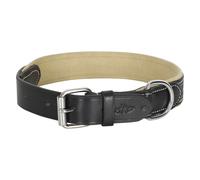 Dog collar HV Polo Iconic