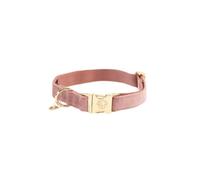 Dog collar Kentucky Velvet