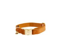 Kentucky Velvet Dog Collar Brown 18-26 cm