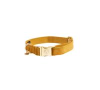 Kentucky Velvet Dog Collar Brown 36-52 cm
