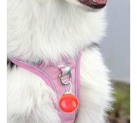 Dog Collar Light - Waterproof Pet Night Visibility Lamp, LED Safety Collar Accessory | Rechargeable Dog Walking Nighttime Gear Outdoor Hiking Running Cycling Camping Light for Medium Large Puppy