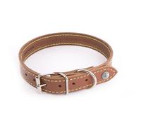 Dog collar Martin Sellier Flash