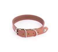 Dog collar Martin Sellier Flash