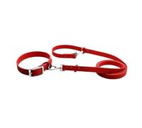 Dog Collar PVC Dog Collar Leash 2 Pcs Dual Head Lead Multicolor Multiple Sizes(Red,L neck 35-48cm)