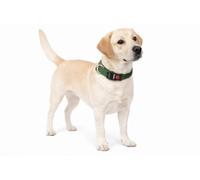 Dog Collar Ziggi Khaki L 45-65cm 25mm