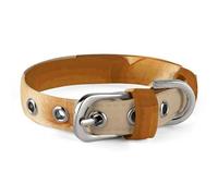 Dog Collars Fantasy Yellow Rose Adjustable Pet Collar for Small, Medium Cats Dogs
