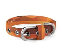 Dog Collars Sunset Dolphin Adjustable Pet Collar for Small, Medium Cats Dogs