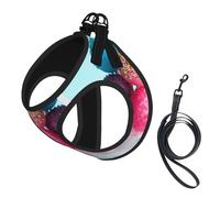 Dog Colorful Candy Printed Harness And Leash Set,Adjustable,Breathable Soft,Step-In Mesh Pet Vest Harness With Reflective Strip
