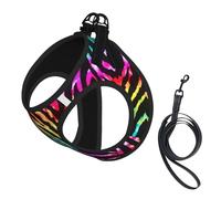 Dog Colorful Rainbow Zebra Printed Harness And Leash Set,Adjustable,Breathable Soft,Step-In Mesh Pet Vest Harness With Reflective Strip