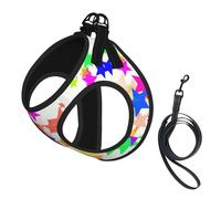 Dog Colorful Star Printed Harness And Leash Set,Adjustable,Breathable Soft,Step-In Mesh Pet Vest Harness With Reflective Strip