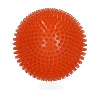 Dog Comets Exoplanet Egelbal L Oranje