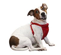 Dog Comfort Harness - No Pull & No Choke Design, Soft Padded Mesh Vest for Comfort, Unique Rolled Nylon Soft Dog Harness with Adjustable Straps, Comfortable Dog Harness by Sporn Pet