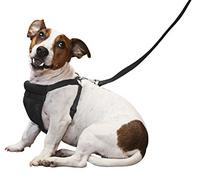 Dog Comfort Harness - No Pull & No Choke Design, Soft Padded Mesh Vest for Comfort, Unique Rolled Nylon Soft Dog Harness with Adjustable Straps, Comfortable Dog Harness by Sporn Pet