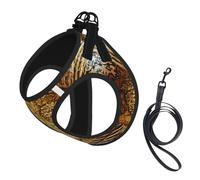 Dog Compass And Old World Map Printed Harness And Leash Set,Adjustable,Breathable Soft,Step-In Mesh Pet Vest Harness With Reflective Strip