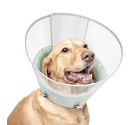 Dog Cone Collar with Snap-on Detachable Soft Liner, Lightweight Transparent Elizabethan Alternative to Stop Licking, for Spay Neuter Surgery Recovery, for Medium Large Small Dogs (Green,XL)